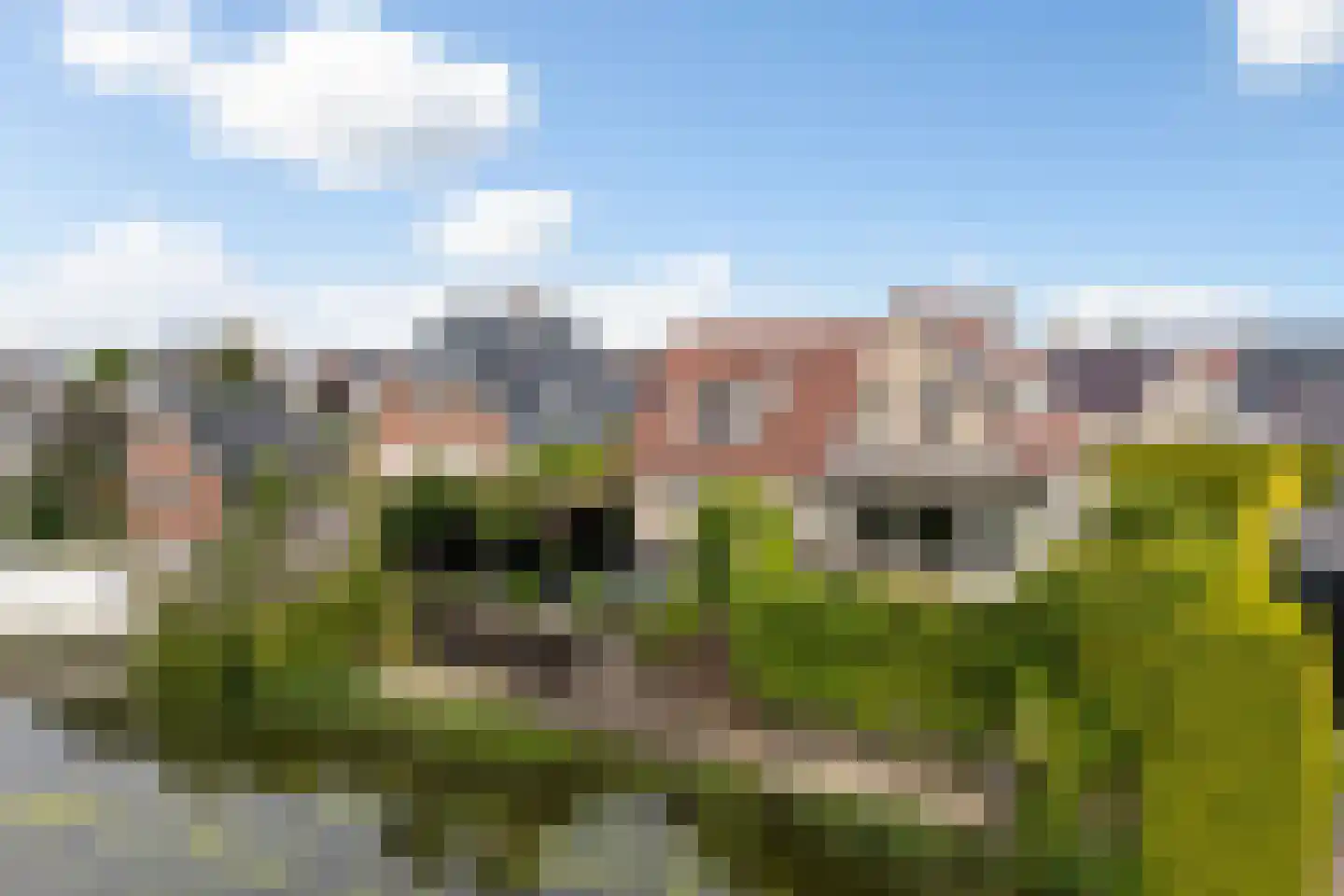 Flecht 8 Dokkum foto 2