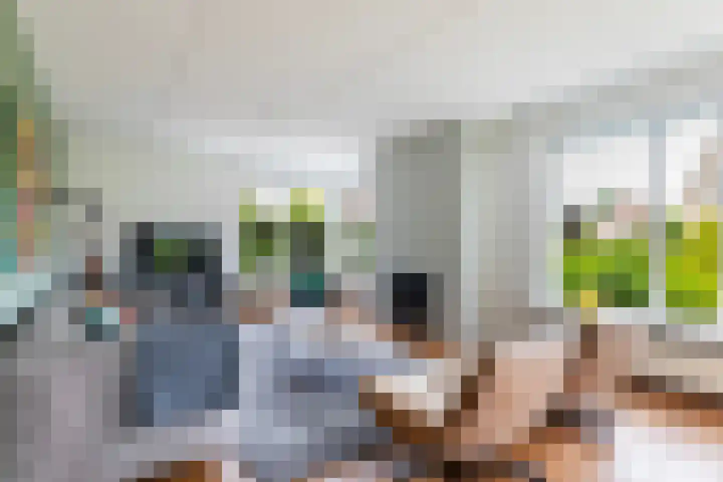 Flecht 8 Dokkum thumbnail 20