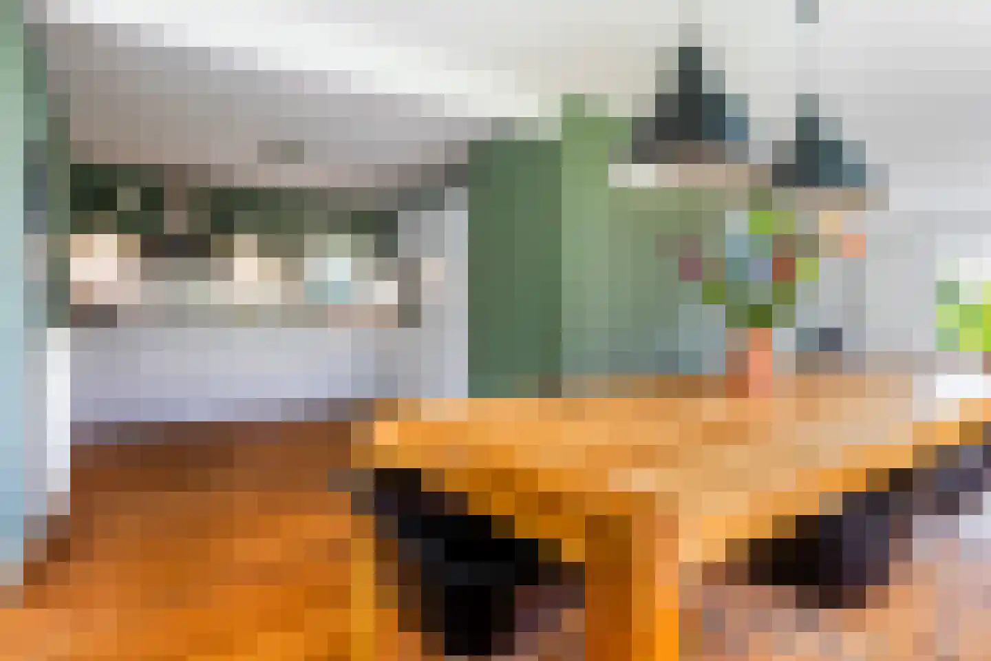 Flecht 8 Dokkum thumbnail 27