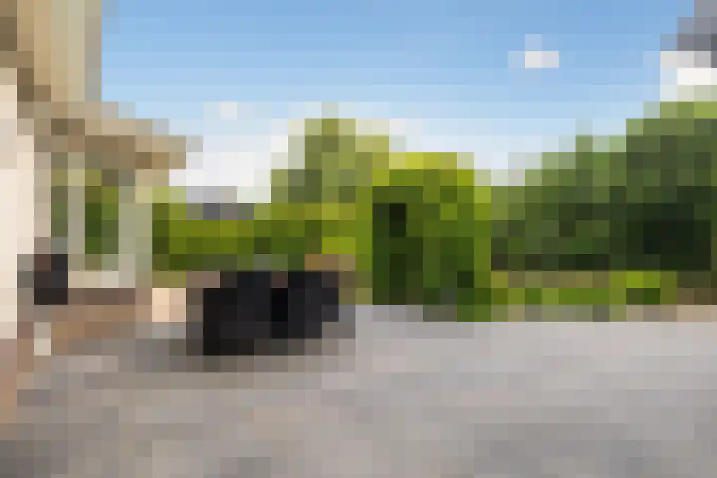 Flecht 8 Dokkum thumbnail 31