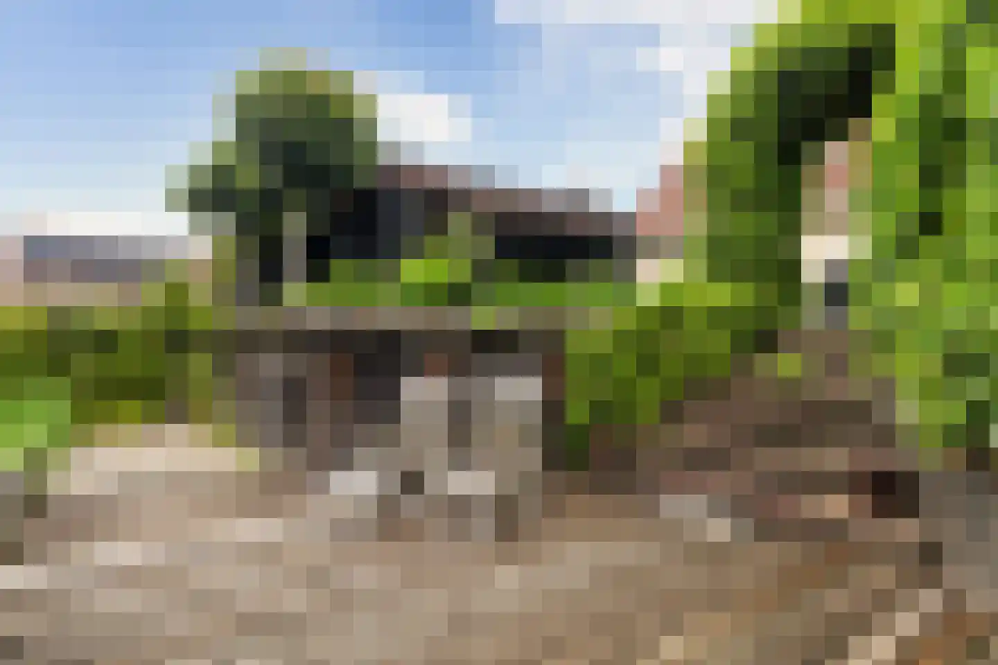 Flecht 8 Dokkum thumbnail 36