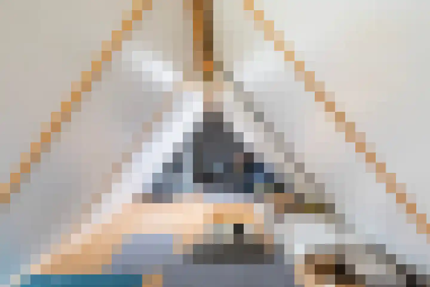 Flecht 8 Dokkum thumbnail 52
