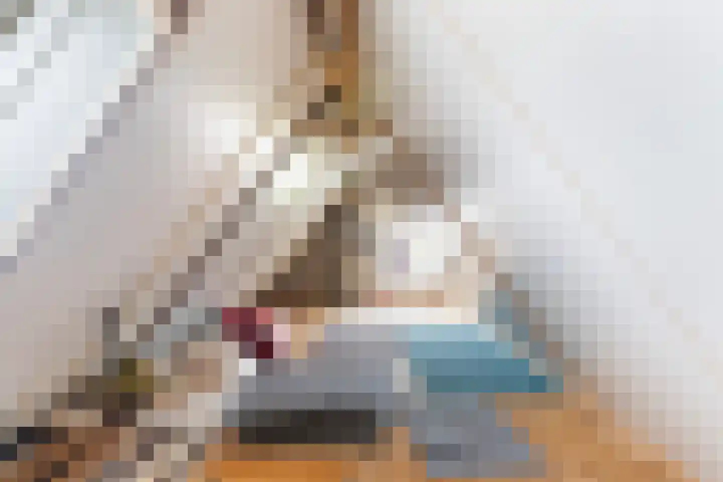 Flecht 8 Dokkum thumbnail 53