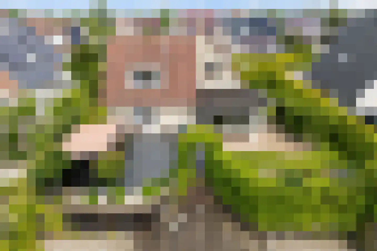 Flecht 8 Dokkum thumbnail 59