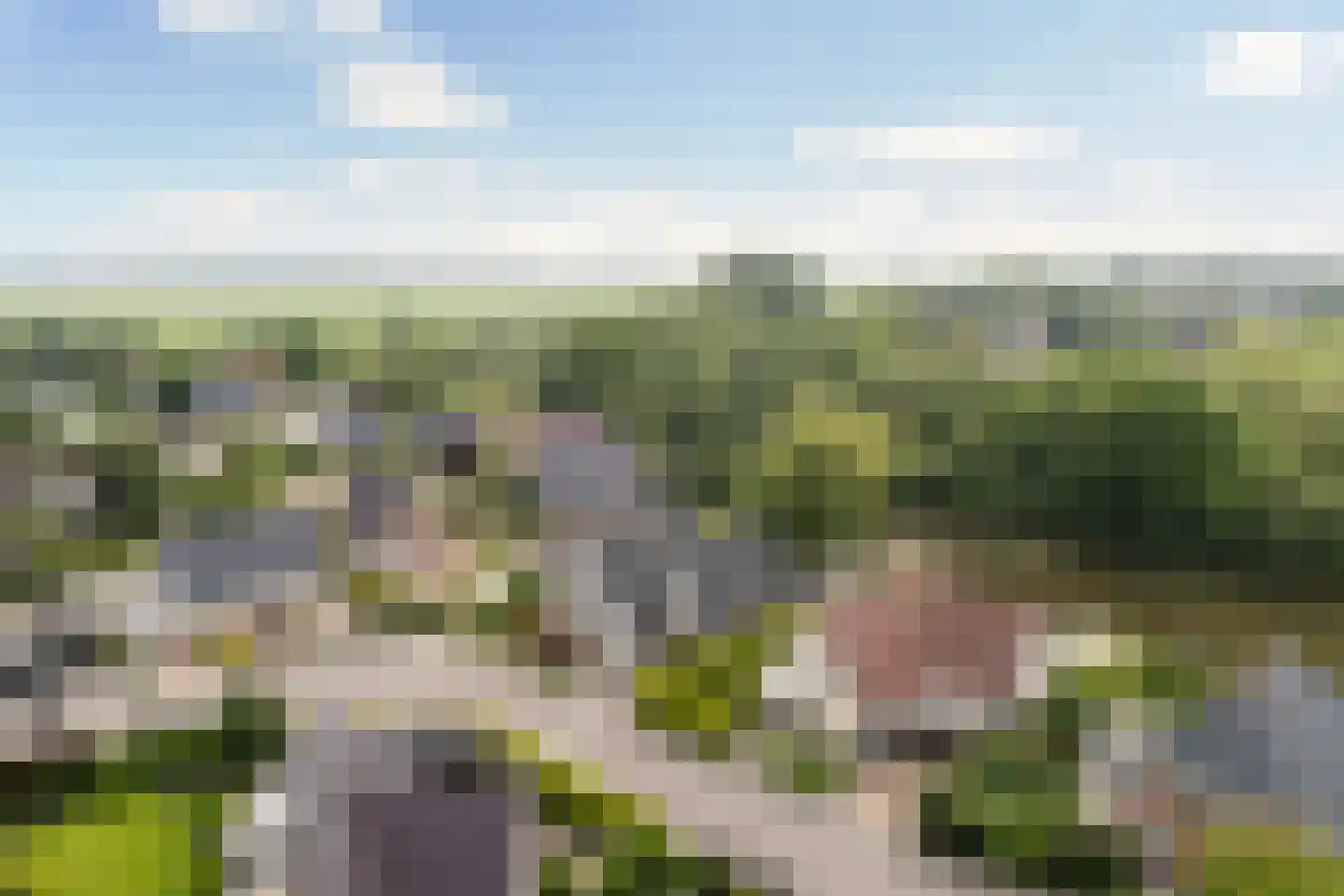 Flecht 8 Dokkum thumbnail 6