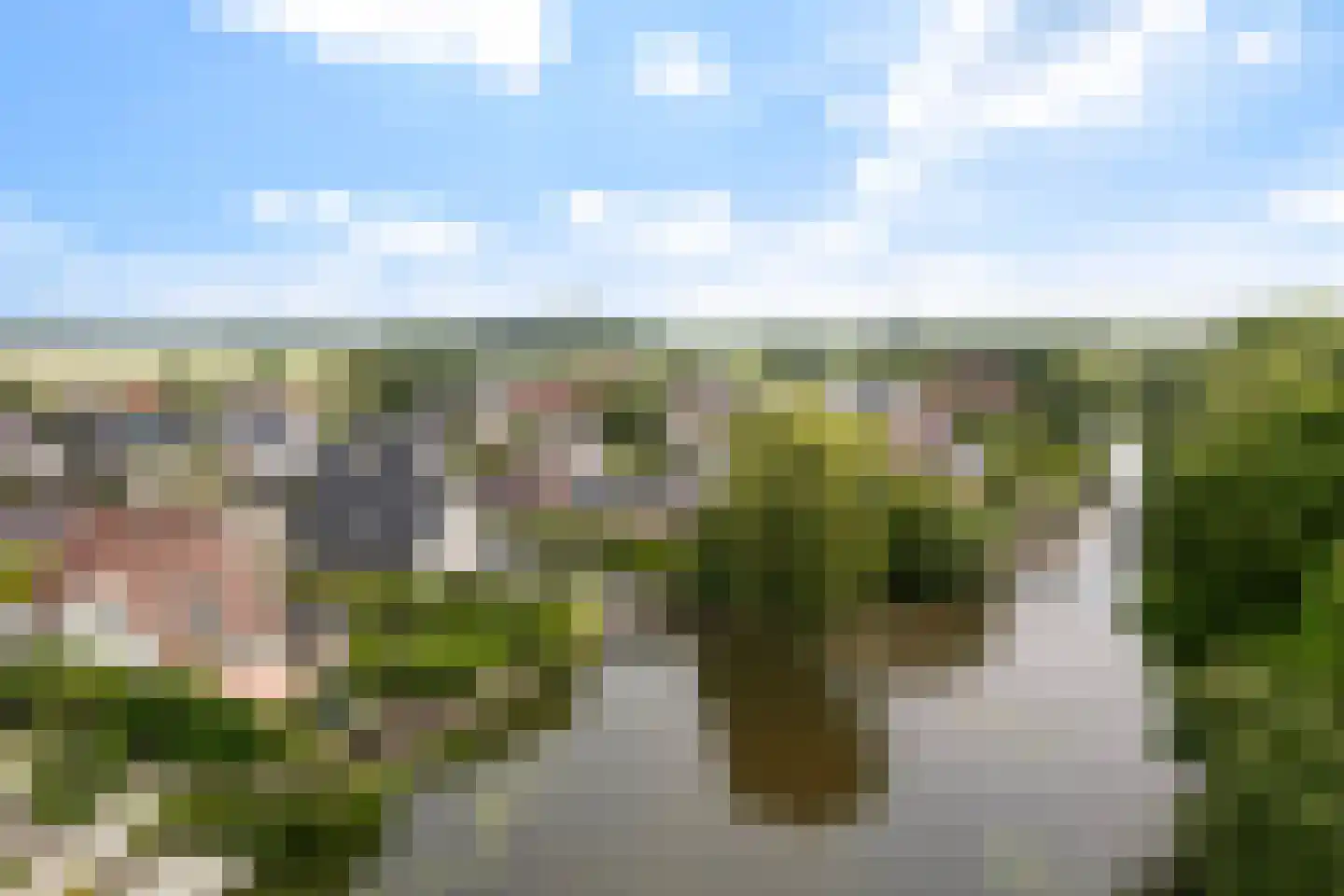 Flecht 8 Dokkum thumbnail 60