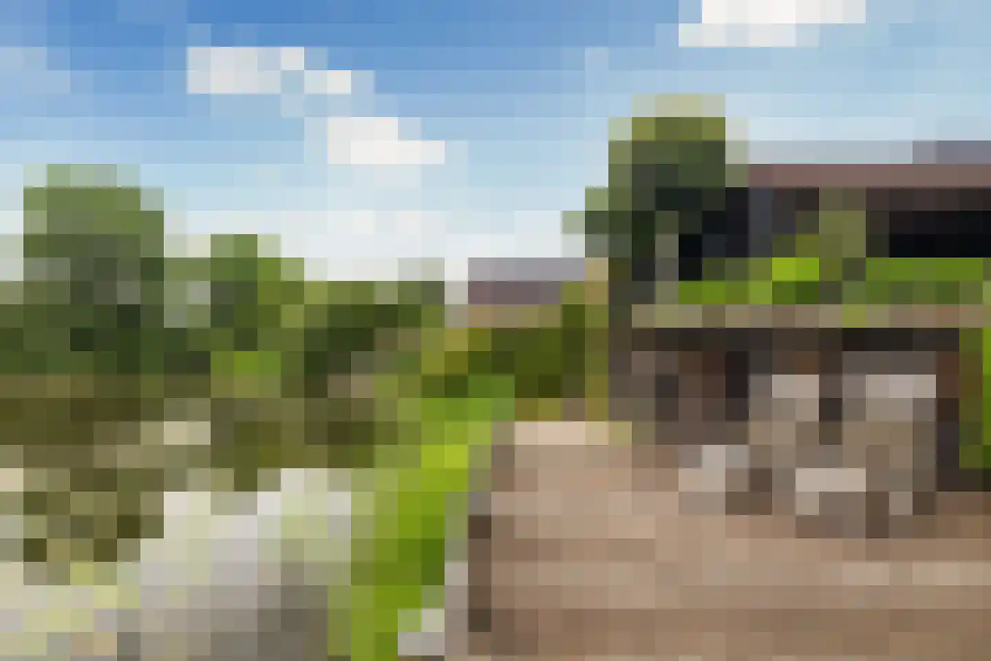Flecht 8 Dokkum thumbnail 7