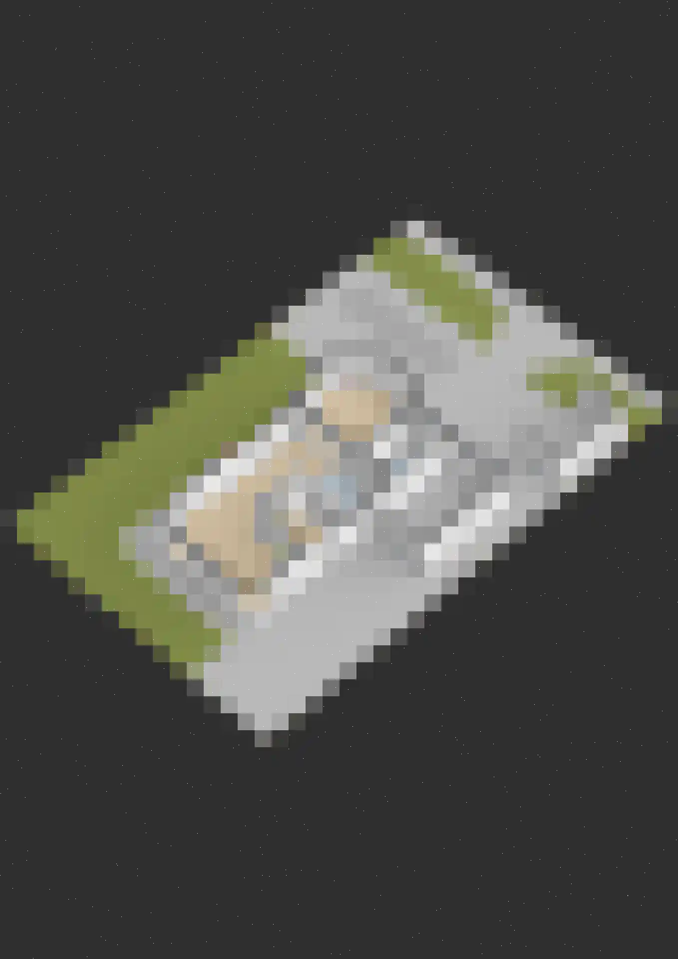 Flecht 8 Dokkum thumbnail 74