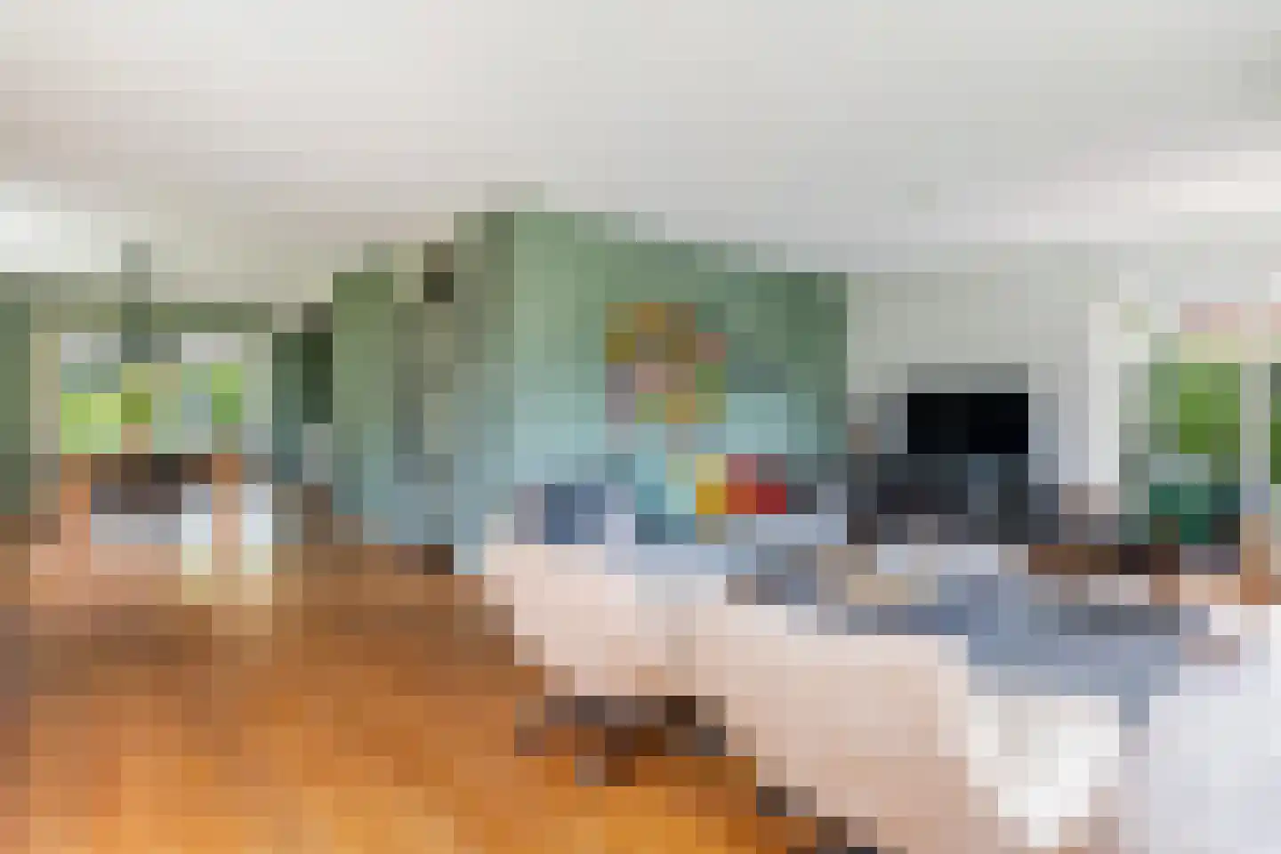 Flecht 8 Dokkum thumbnail 8