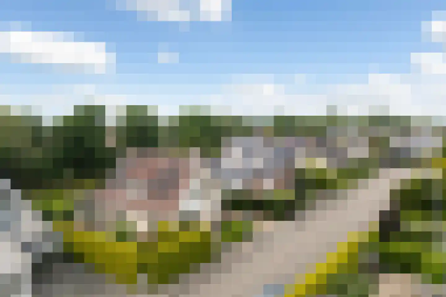 Flecht 8 Dokkum thumbnail 9