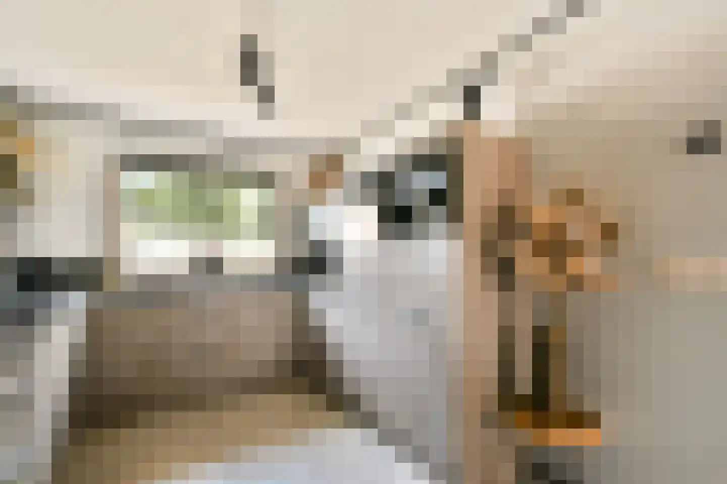 Fledermauspad 1 Hoogvliet Rotterdam thumbnail 13