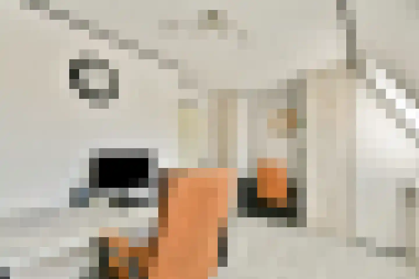 Fledermauspad 1 Hoogvliet Rotterdam thumbnail 15
