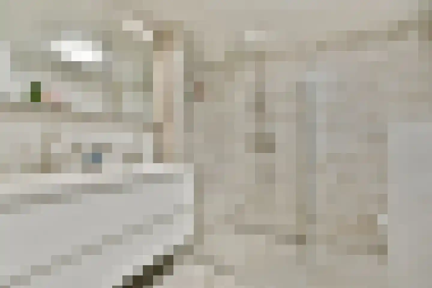 Fledermauspad 1 Hoogvliet Rotterdam thumbnail 4