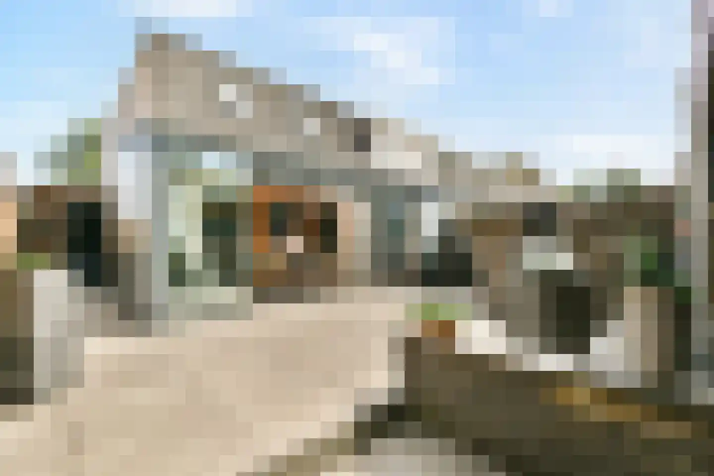 Fledermauspad 1 Hoogvliet Rotterdam thumbnail 5