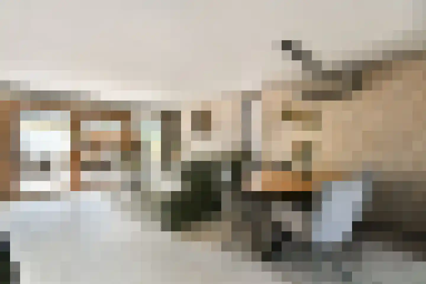 Fledermauspad 1 Hoogvliet Rotterdam thumbnail 9