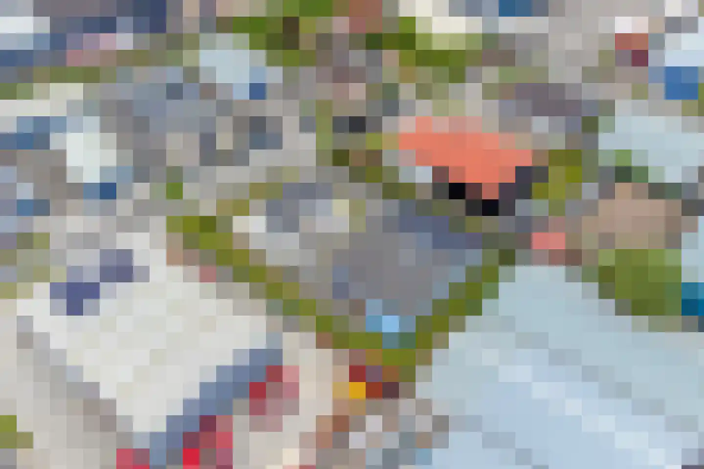 Fleerbosseweg 4 Kapelle thumbnail 63