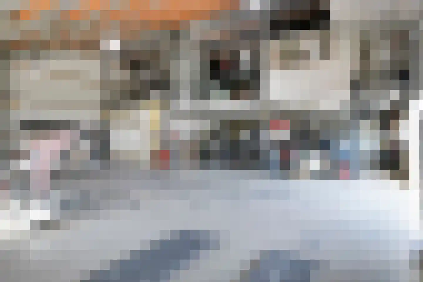 Fleerbosseweg 4 Kapelle thumbnail 9