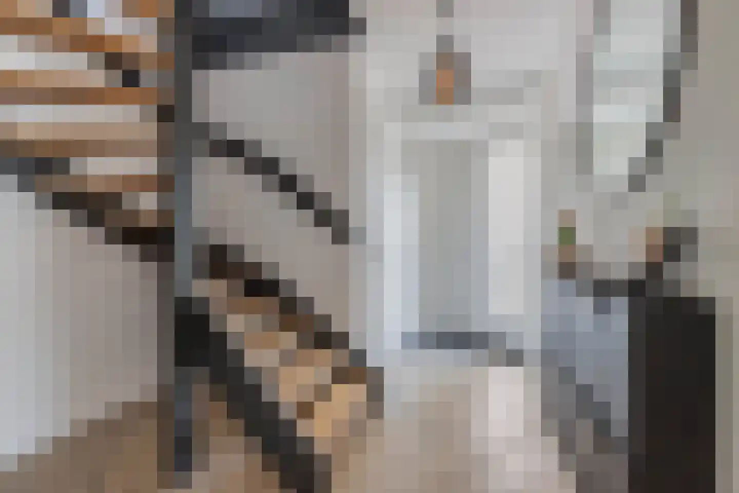 Fleminghage 10 Emmeloord thumbnail 12