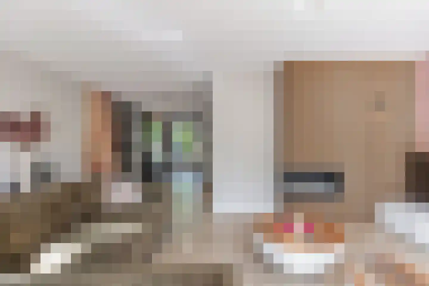 Fleminghage 10 Emmeloord thumbnail 19
