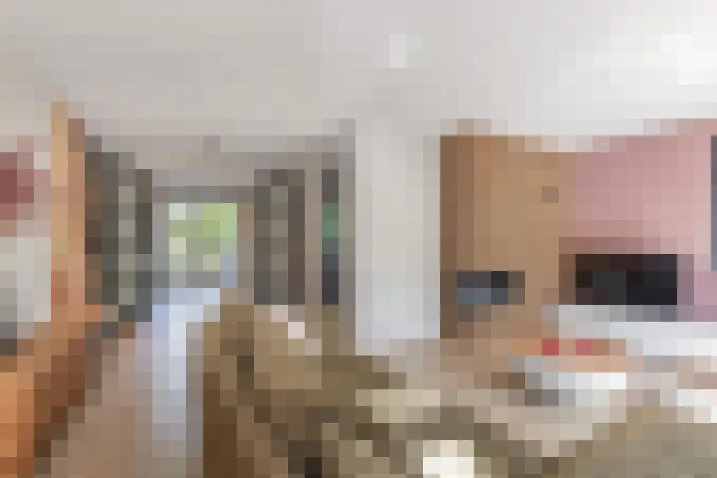 Fleminghage 10 Emmeloord thumbnail 20