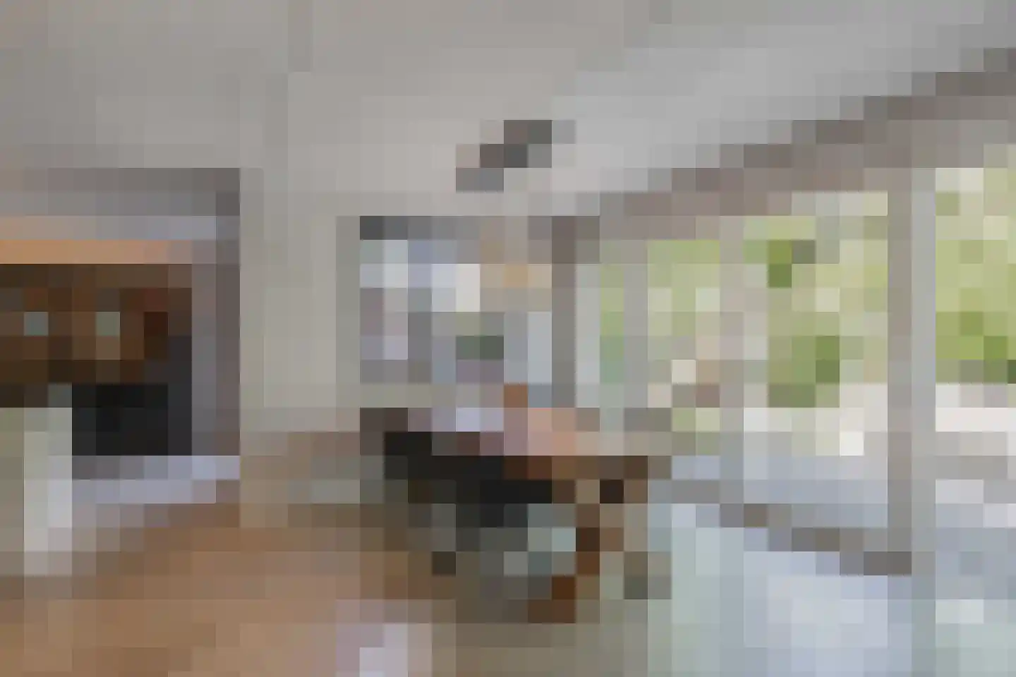 Fleminghage 10 Emmeloord thumbnail 23