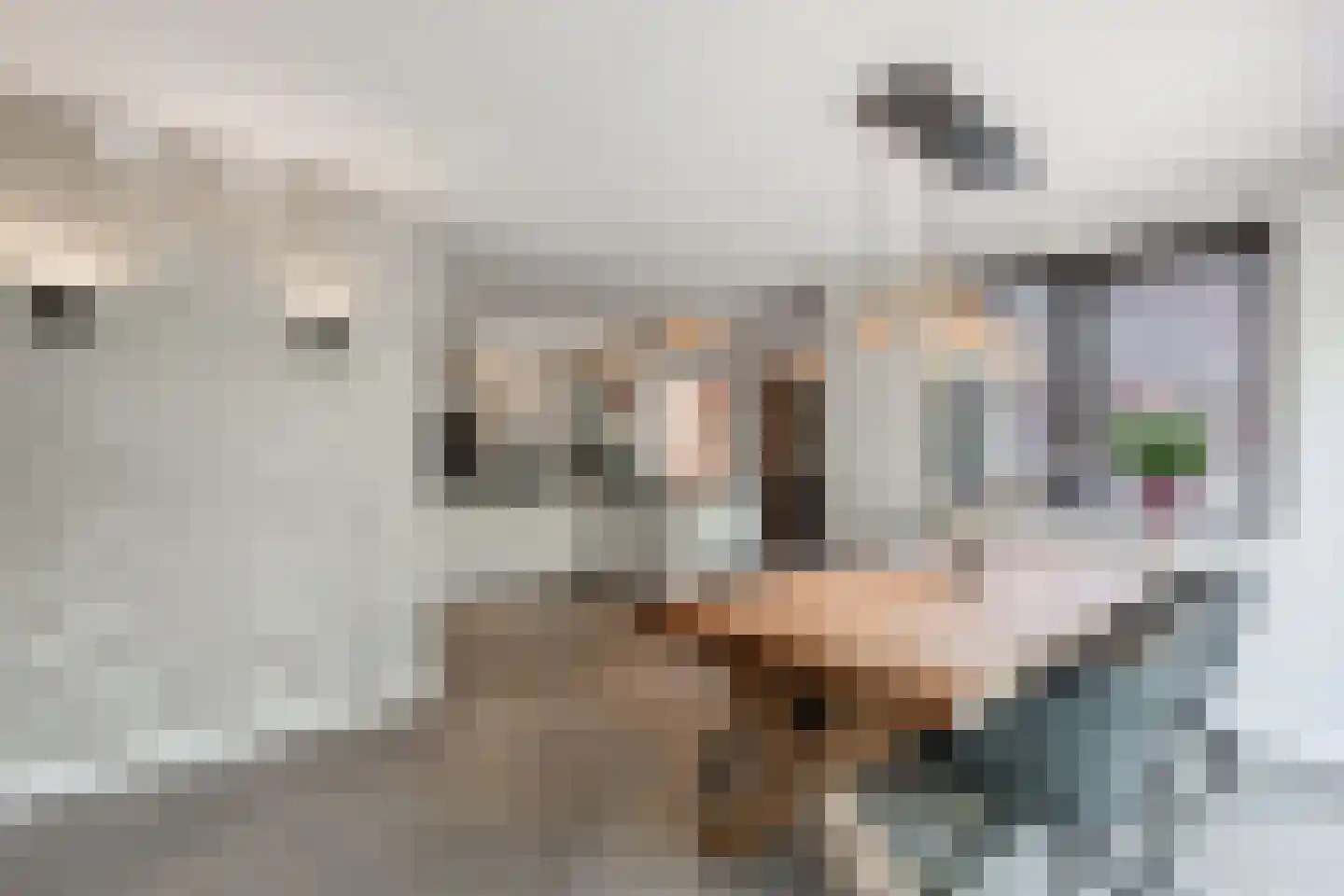 Fleminghage 10 Emmeloord thumbnail 25