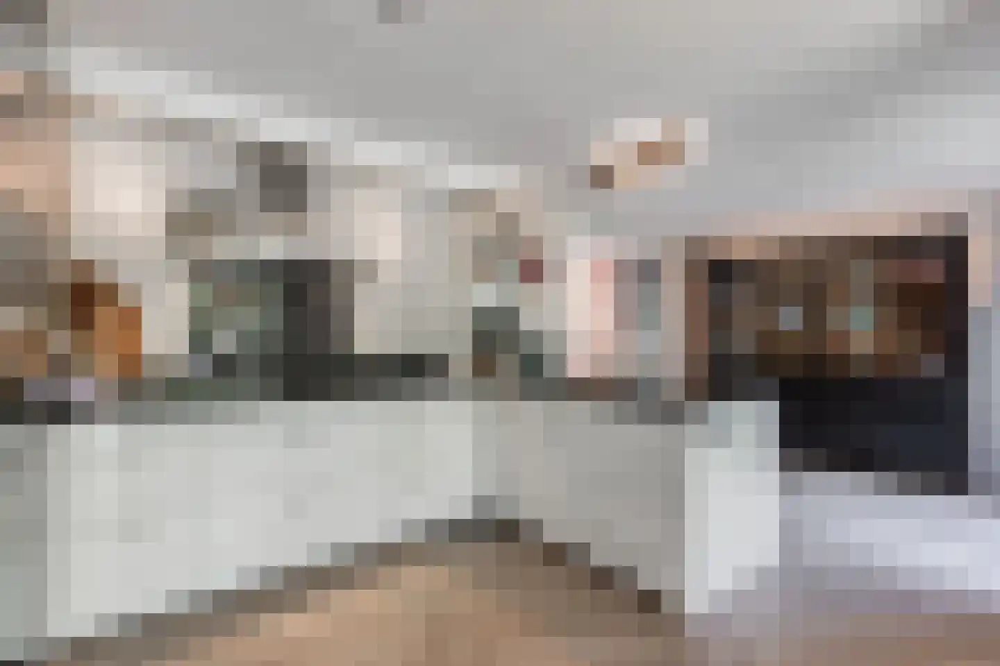 Fleminghage 10 Emmeloord thumbnail 26