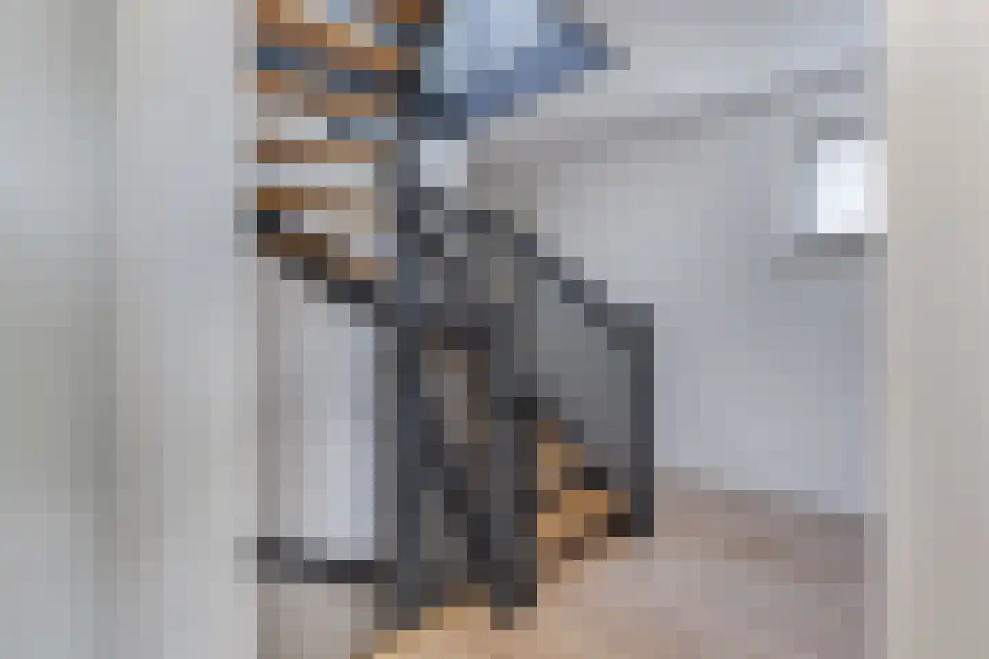 Fleminghage 10 Emmeloord thumbnail 32