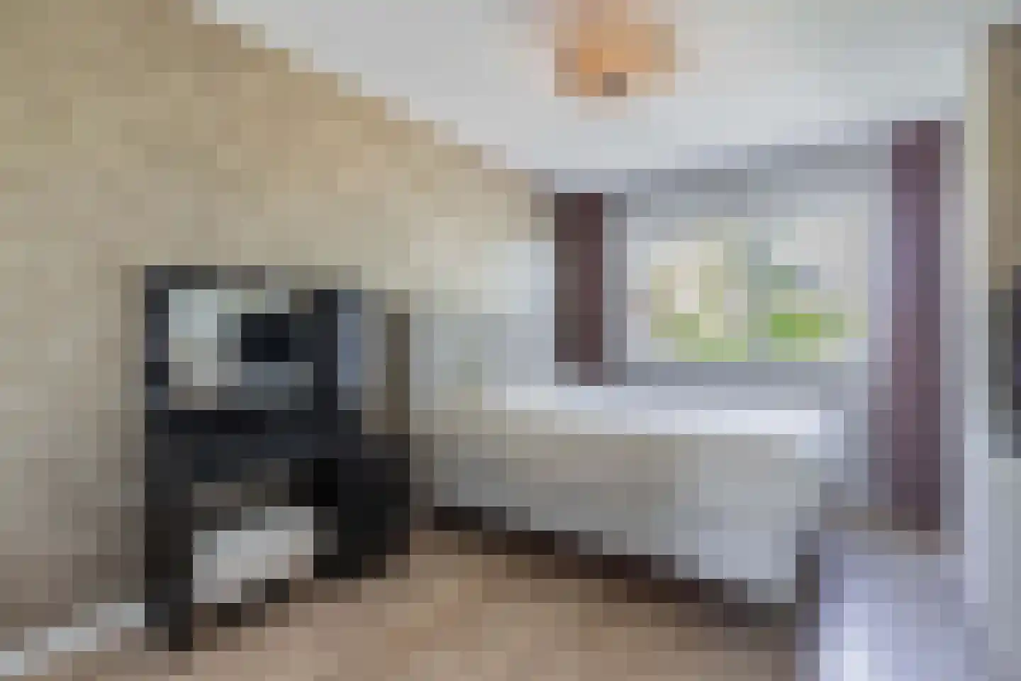 Fleminghage 10 Emmeloord thumbnail 34