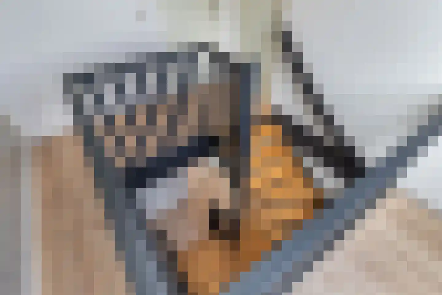 Fleminghage 10 Emmeloord thumbnail 46