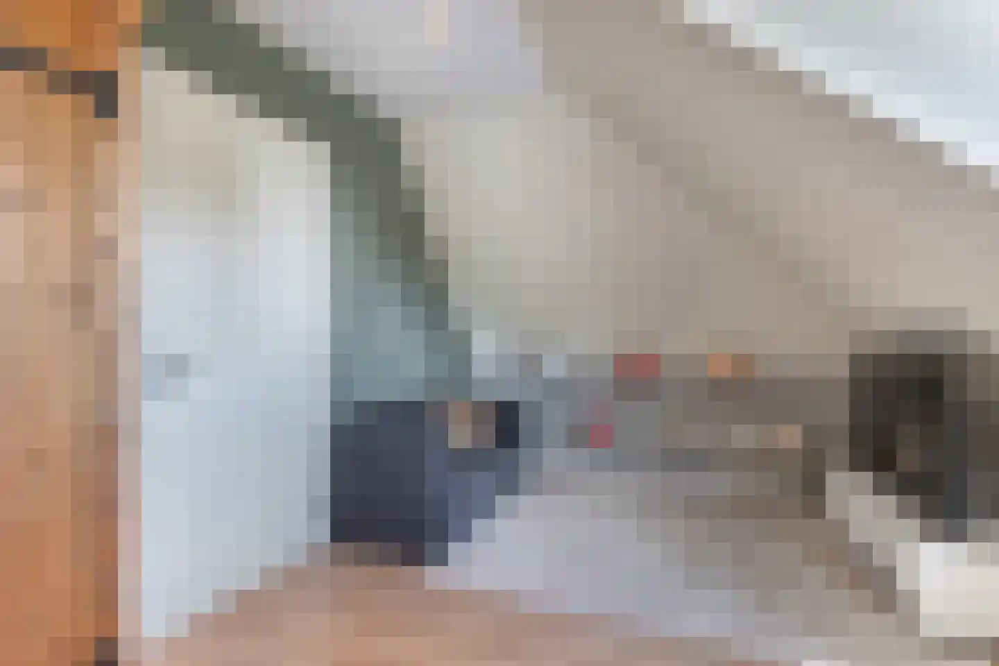Fleminghage 10 Emmeloord thumbnail 49
