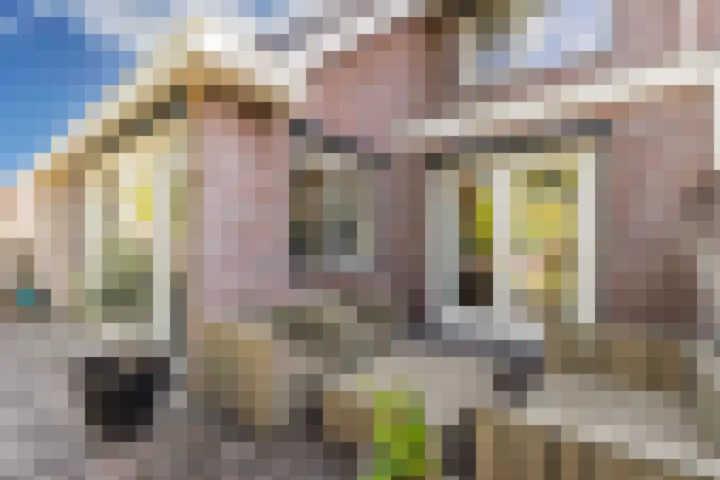 Fleminghage 10 Emmeloord thumbnail 55