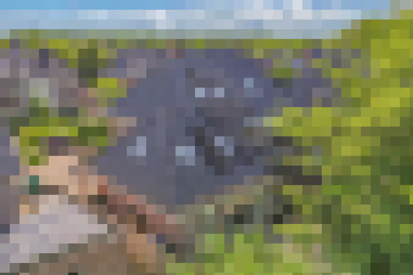 Fleminghage 10 Emmeloord thumbnail 57