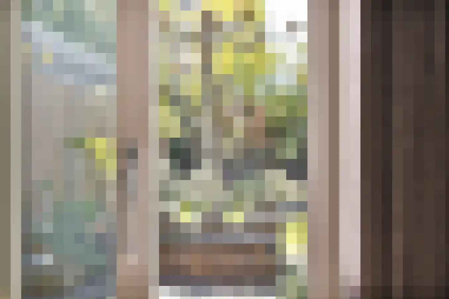 Fleminghage 14 Emmeloord thumbnail 19