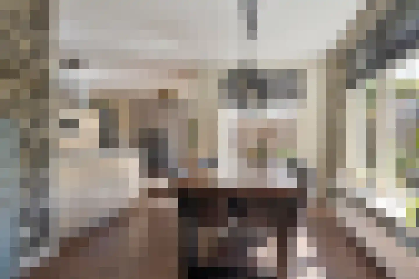 Fleminghage 14 Emmeloord thumbnail 21