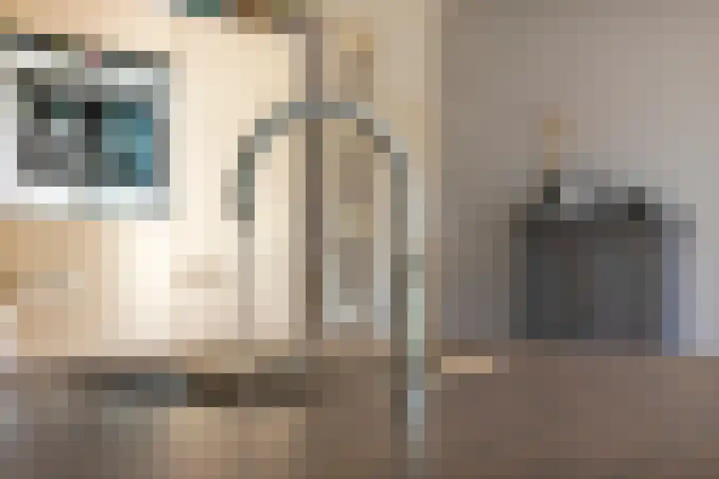 Fleminghage 14 Emmeloord thumbnail 23