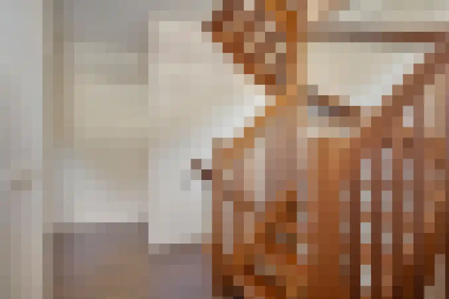 Fleminghage 14 Emmeloord thumbnail 27
