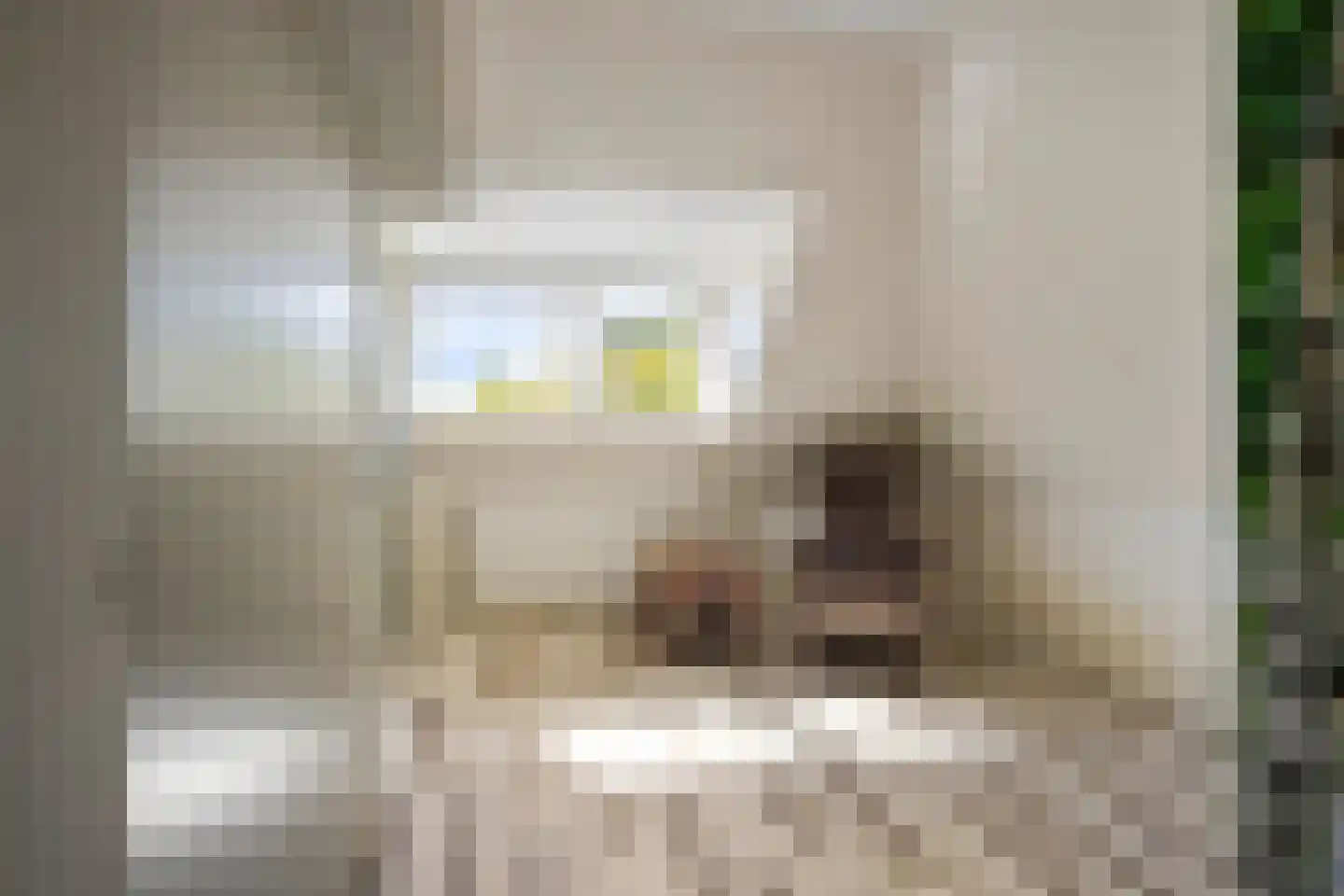 Fleminghage 14 Emmeloord thumbnail 35