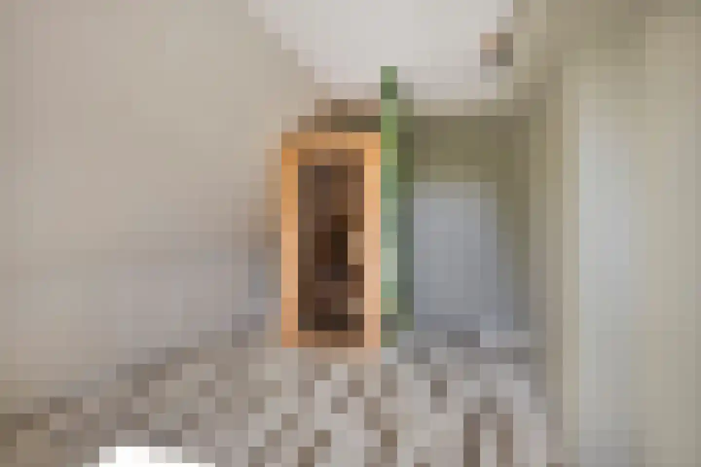 Fleminghage 14 Emmeloord thumbnail 36