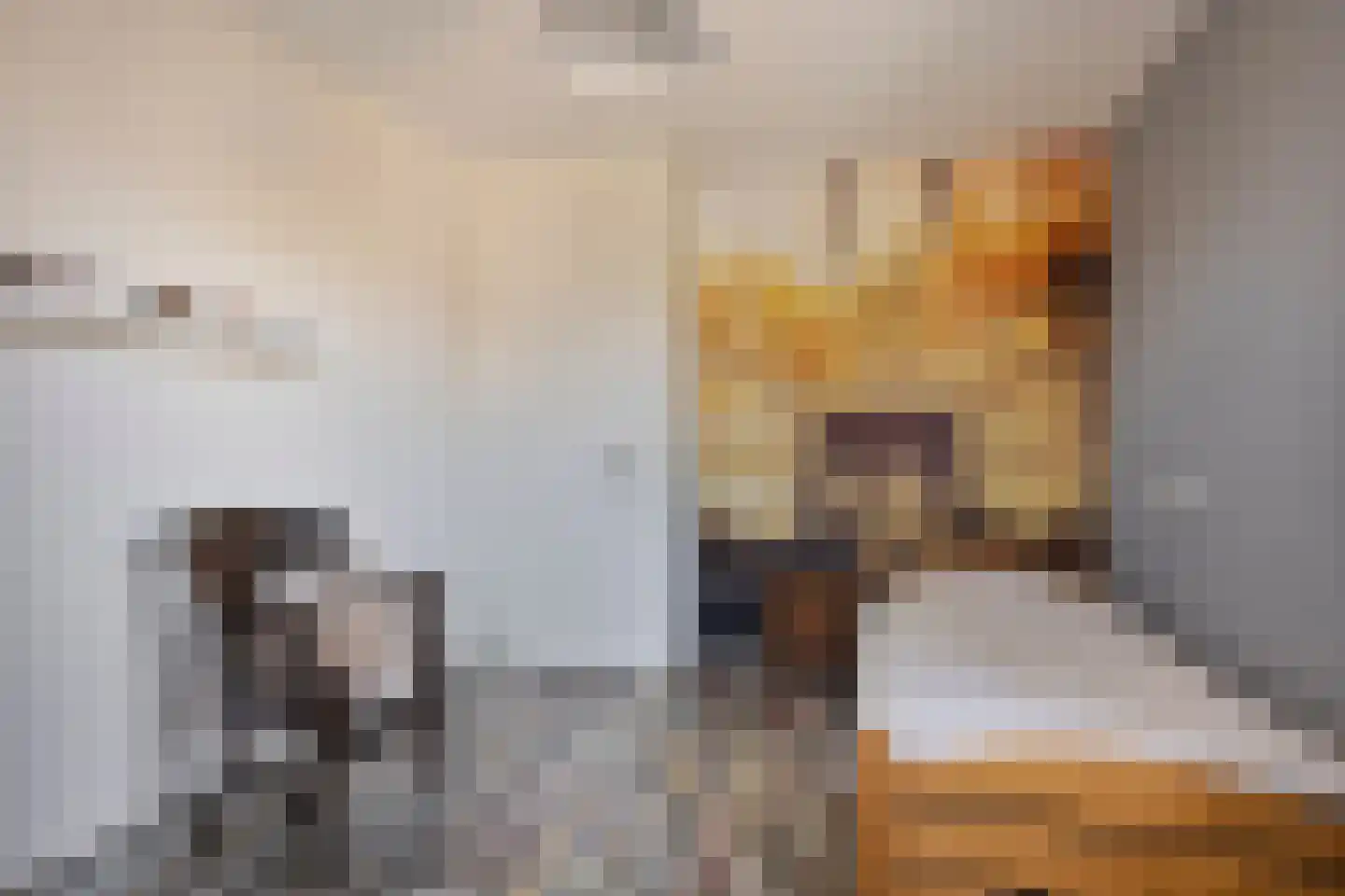 Fleminghage 14 Emmeloord thumbnail 38