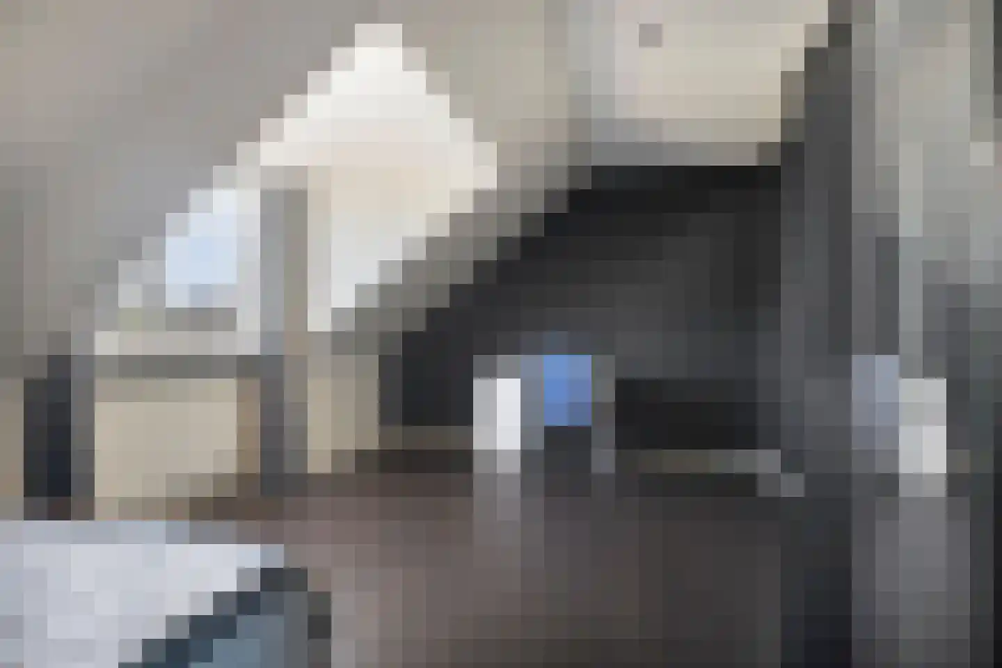 Fleminghage 14 Emmeloord thumbnail 44