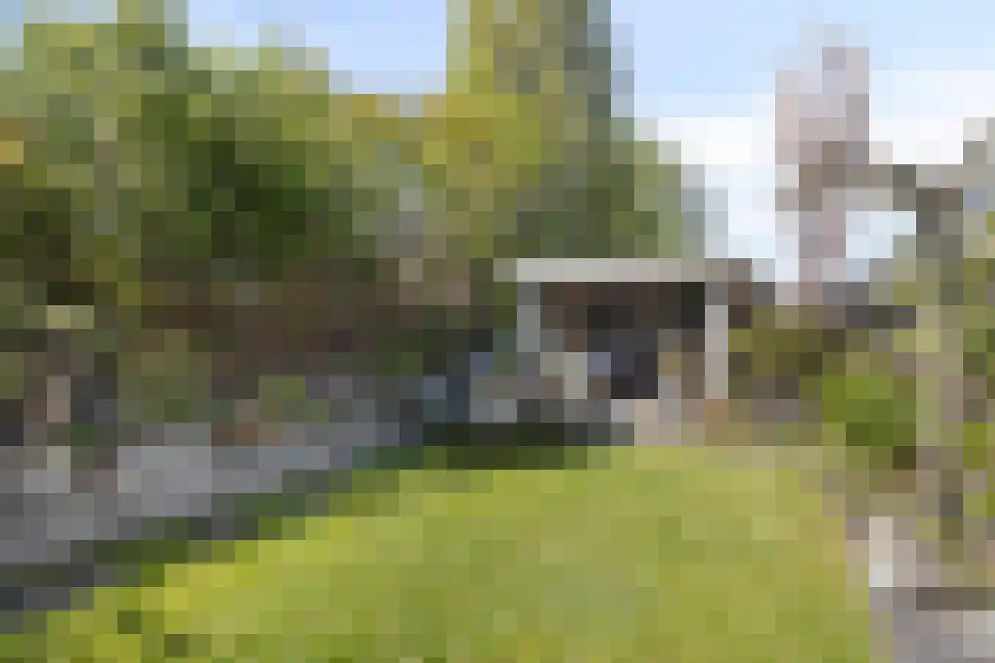 Fleminghage 14 Emmeloord thumbnail 47