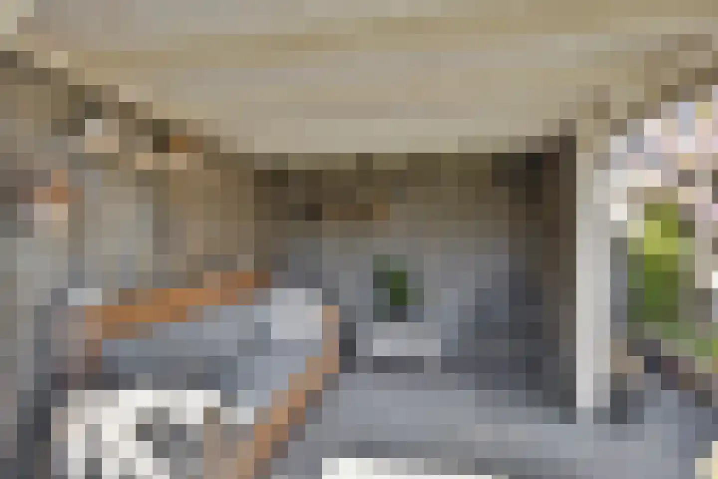 Fleminghage 14 Emmeloord thumbnail 48