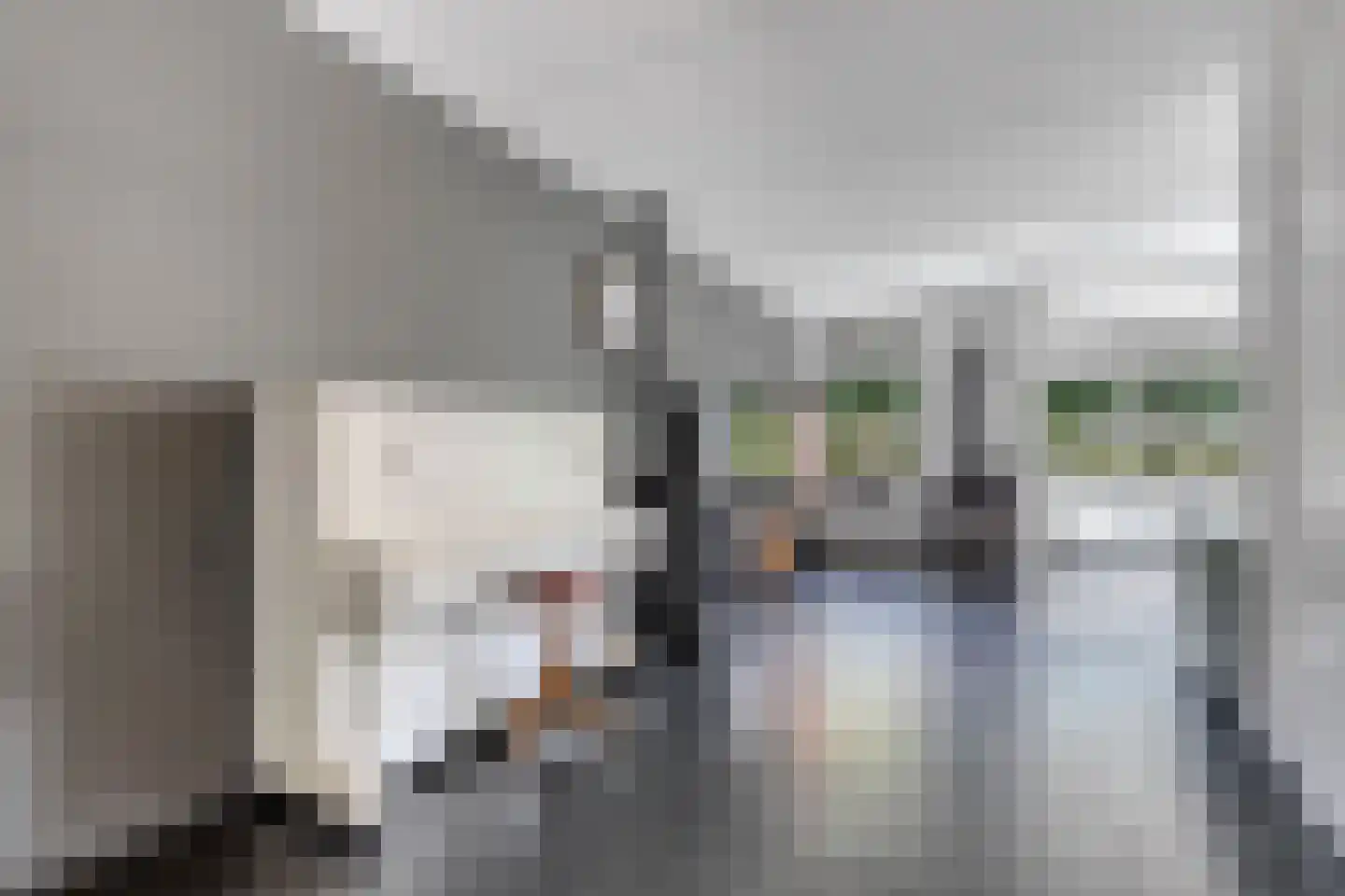 Fleminghage 15 Emmeloord thumbnail 15