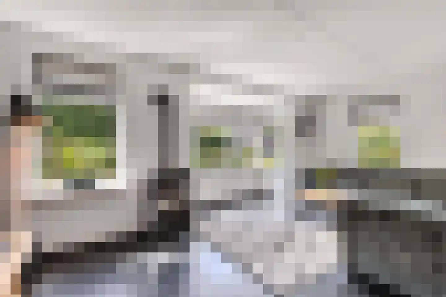 Fleminghage 15 Emmeloord thumbnail 16