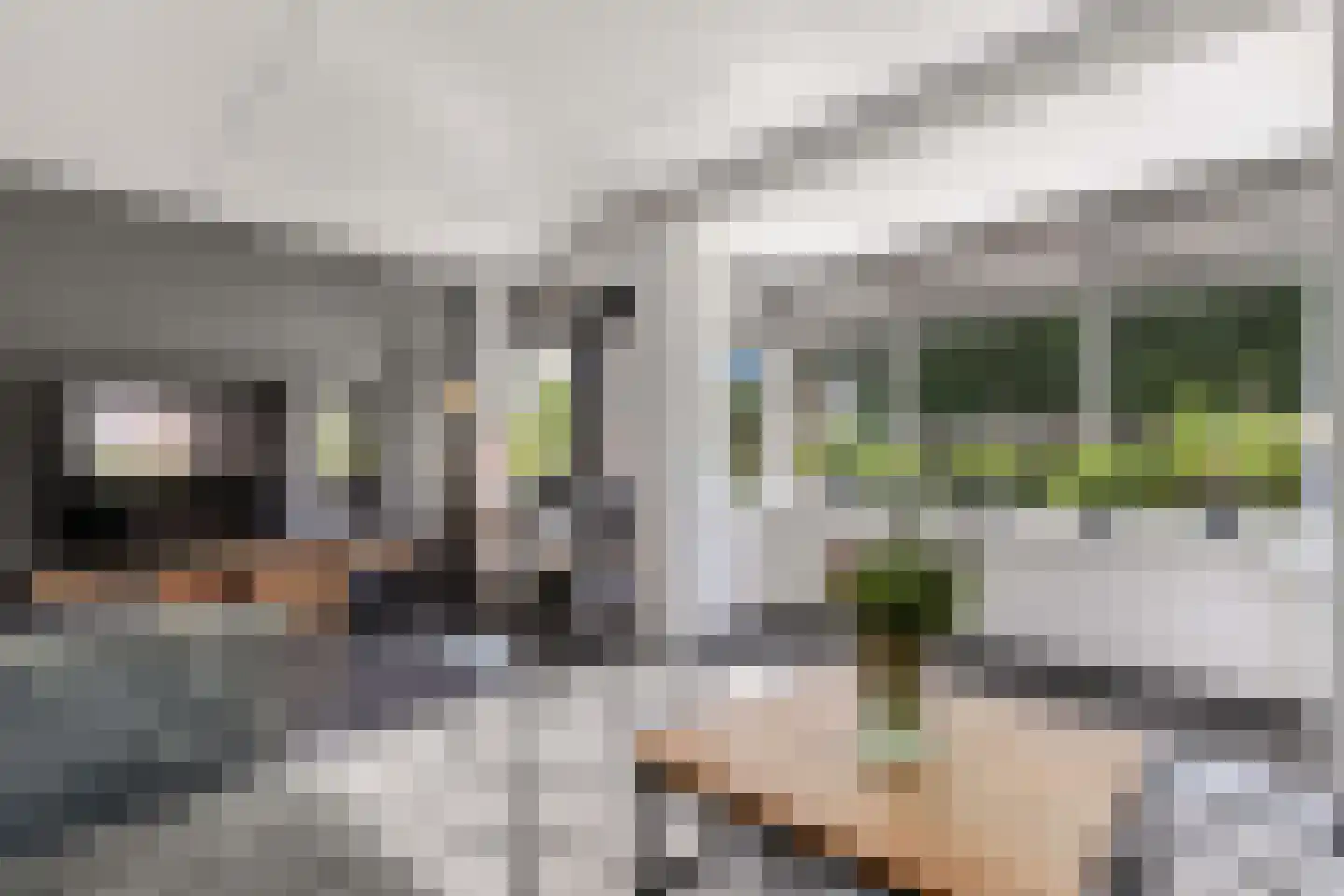 Fleminghage 15 Emmeloord thumbnail 18