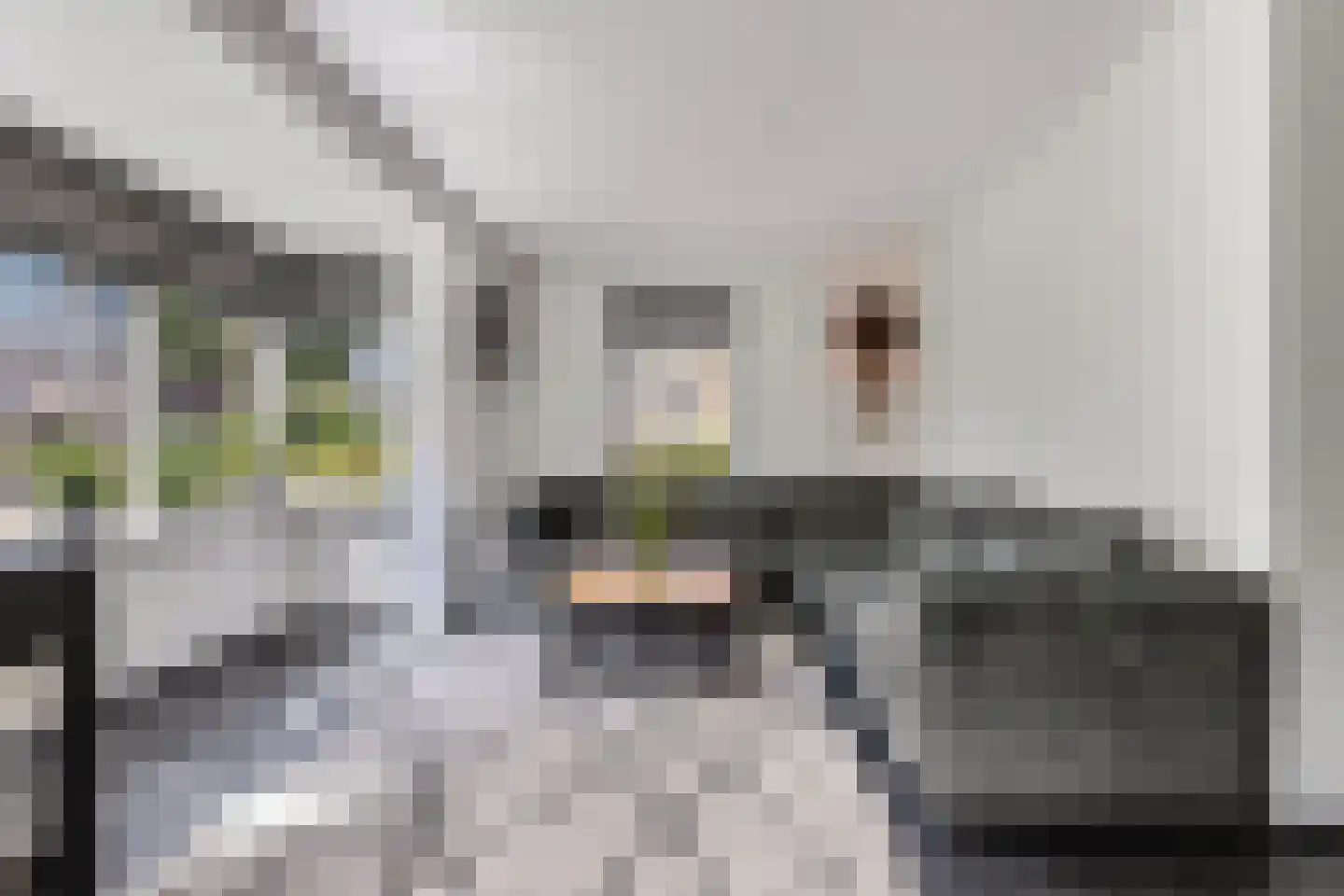 Fleminghage 15 Emmeloord thumbnail 19