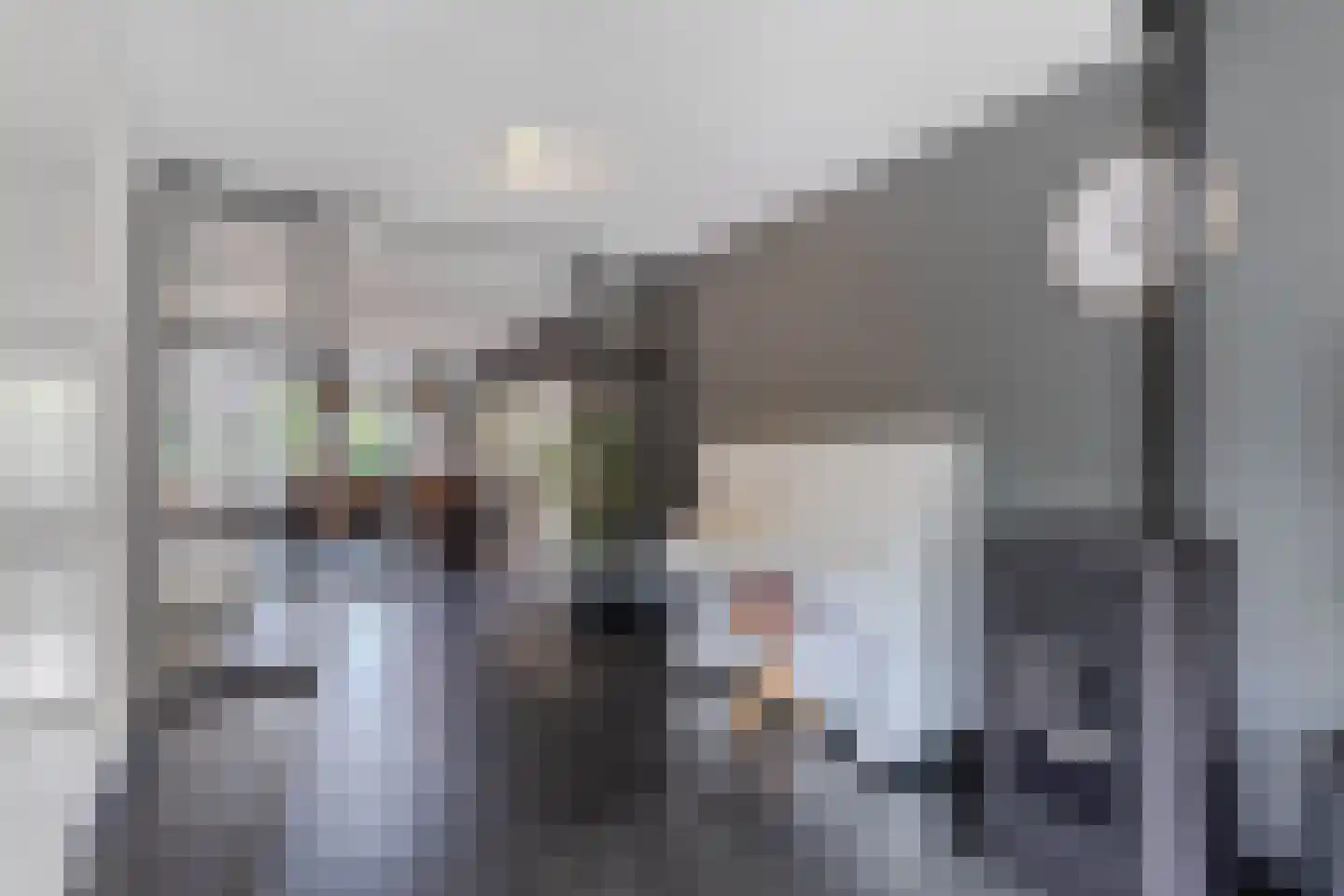 Fleminghage 15 Emmeloord thumbnail 20