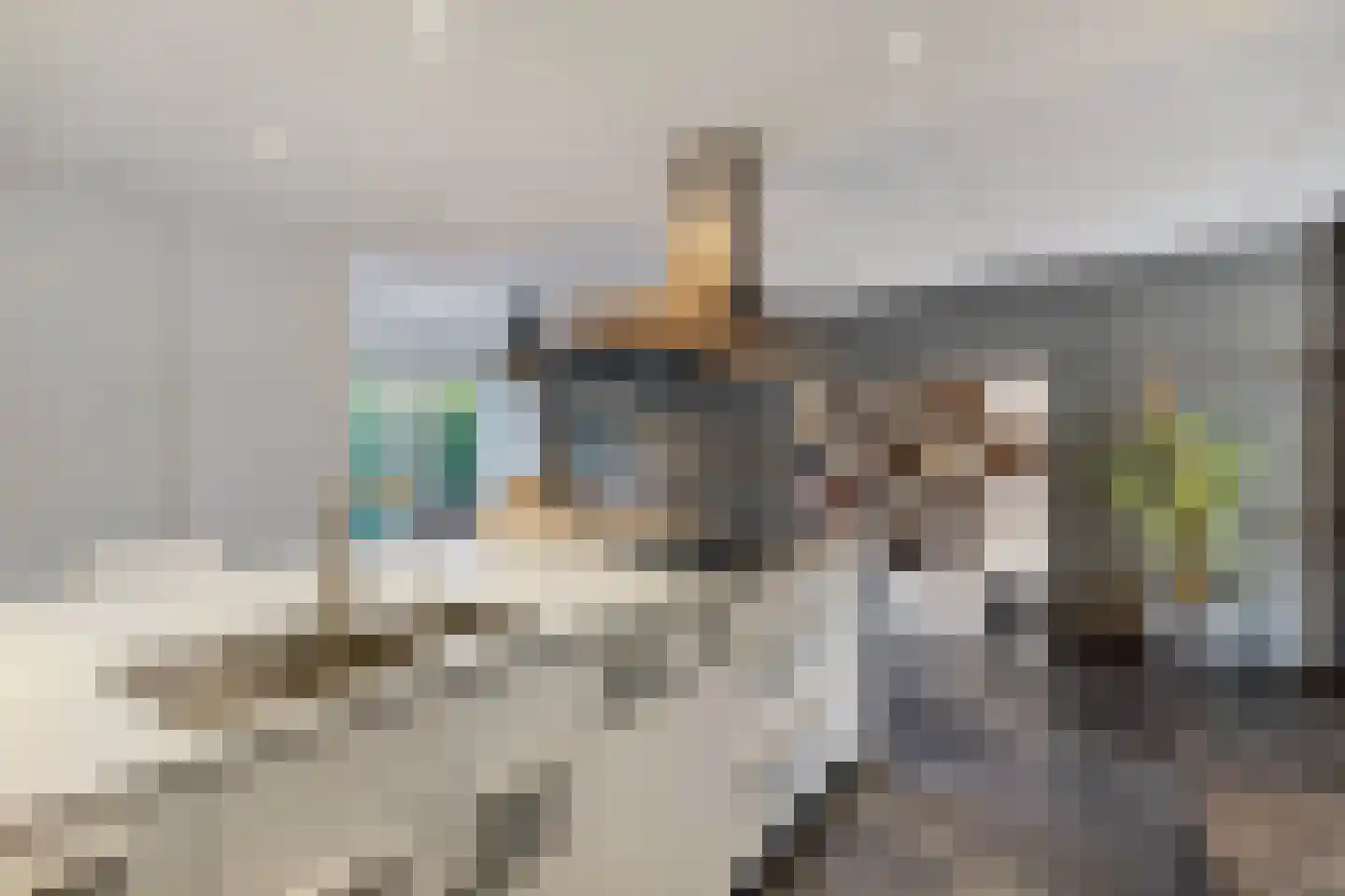 Fleminghage 15 Emmeloord thumbnail 22