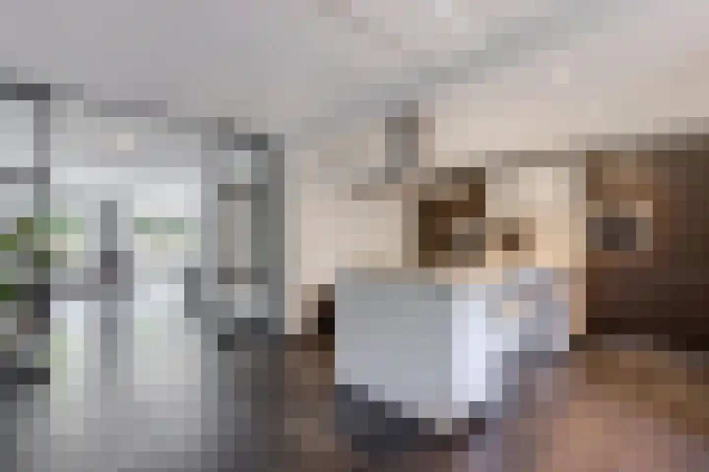 Fleminghage 15 Emmeloord thumbnail 23